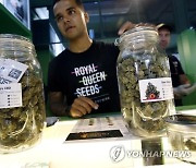 THAILAND CANNABIS