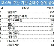 코스닥 주간 기관 순매수 1위 '엘앤에프'