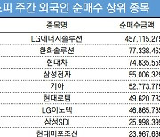 코스피 주간 외국인 순매수 1위 'LG에너지솔루션'