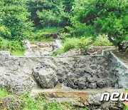 산림복구 모범사례 소개한 북한.. "황금산 보물산"