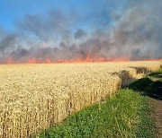 '농업 강국' 우크라 최대 기업 대표, 러 폭격으로 사망
