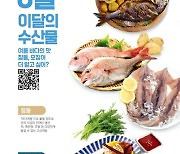 [8월 수산물]여름 바다의 맛 '참돔·오징어' 선정