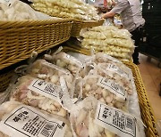 햇마늘 수확시기 마늘 수입 발표에 경매 중단