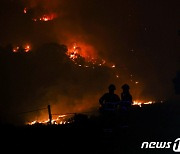 산불 지역을 둘러보는 포르투갈 소방관들