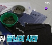 손담비♥이규혁, 장맛비에 물 새는 신혼집 공개..김희철 "돈 많이 벌었는데 왜"