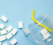 무설탕·설탕 무첨가·무가당·무당​.. 도대체 무슨 차이?
