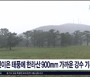 연이은 태풍에 한라산 900mm 가까운 강수  기록