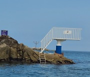 경포 '오리바위 다이빙 시설' 40여년 만에 복원..해수욕장 개장 기간 한시적 운영