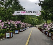 청주 미동산수목원서 2∼15일 무궁화 전시회