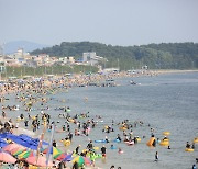 [보령소식] 대천해수욕장 10일까지 야간 개장