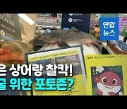 [영상] "어린이 충격" vs "어차피 생선"..이마트 '상어 포토존' 논란