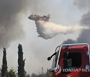 France Wildfires