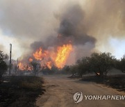 CORRECTION France Wildfires