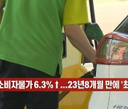 (영상)7월 소비자물가 6.3%↑..23년8개월 만에 '최고치'