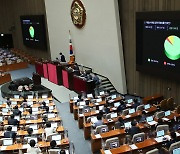 본회의 통과하는 개별소비세법 일부개정법률안