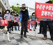 축산물 수입 무관세 철회 집회에 나온 송아지