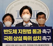"반도체 시설투자 최대 30% 세액공제"..'K칩 액트' 남은 과제는?