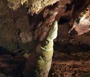 '촛대바위·엄지척·해치상'..동해 천곡동굴 무명 종유석 이름 생겼다