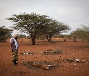 아프리카 "화석 연료 개발 추진"..우크라이나 전쟁으로 앞당겨진 '기후 재앙' 마지노선