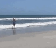 [영상] '죠스' 한 장면인 줄..수영객 노는 美 해변에 나타난 상어 2마리