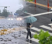 두 태풍이 남긴 열대수증기..중부 최고 100mm 호우