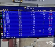 김해공항 결항 속출..휴가 나선 여행객 '혼란'(종합)