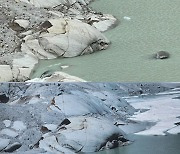 8년 전과 확연히 달라진 빙하