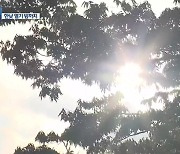 [날씨] 대전·세종·충남 곳곳에 폭염경보..'열대야'도 기승