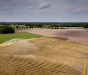 네덜란드, 가뭄·폭염 이중고에..'물 부족' 공식 선언