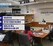 친환경 모빌리티 규제자유특구 ..전남·경북·경남 지정