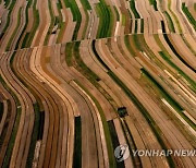 POLAND AGRICULTURE