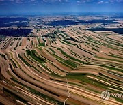 POLAND AGRICULTURE