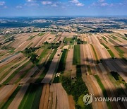 POLAND AGRICULTURE