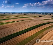 POLAND AGRICULTURE