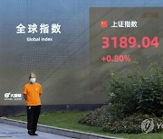 CHINA ECONOMY STOCK EXCHANGE