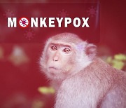 미국, '원숭이두창' 공중보건 비상사태 선포