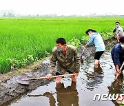 북한 농민들, 여름철 농작물 보호 역량 집중