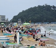 '서핑 성지' 양양에서 해수부장관배 서핑대회