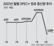 OPEC+ 내달 원유 찔끔 증산.. "바이든, 사우디에 뺨 맞은 격"