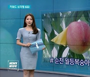 [키워드브리핑]순천 월등복숭아 행사 등