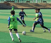 함안군, 2022 함안 아라가야 유소년 축구 페스티벌 개최 [중부경남]