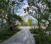 6일 공개 광화문광장, '공원 품은 광장'으로 재탄생