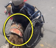 [영상]반려견이 몸 불편한 주인 탄 휠체어 밀었다, 전세계 '뭉클'