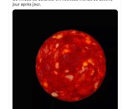 웹 망원경 별 이미지라며 소시지 사진 올린 유명 과학자 사과