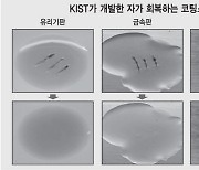 피부처럼 상처 변색되고 스스로 회복..KIST, 기능성 코팅소재 개발