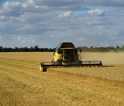 우크라이나 밀 수출 재개하자.. 전세계 식량값 24년 만에 최대 '뚝'