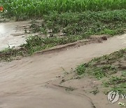 '8월에 또'..북한 곳곳서 장마성 폭우
