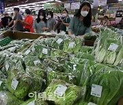 [포토] 농산물 가격 고공행진