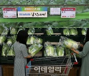 [포토] 농산물 물가 상승률 8.5%