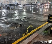 폭우로 파손된 도로